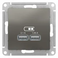 Розетка 2xUSB Schneider Electric ATLASDESIGN, сталь, ATN000933