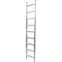 53562914.png