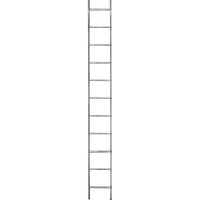 51580280.png