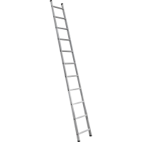 51811376.png