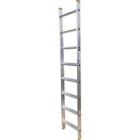 53562940.png