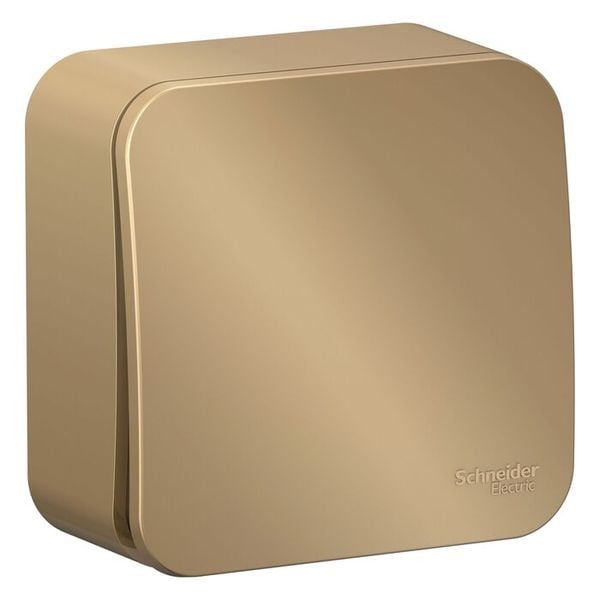 Изображение загружено из каталога картинок. //***VAD***//