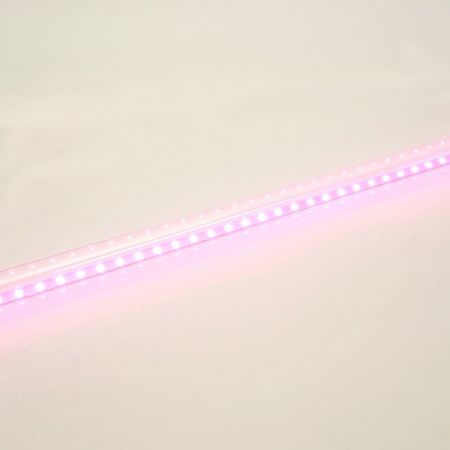 Лампа светодиодная для растений T8 Feron LB-7063 G13 стекло 0,6м 11W 175-265V красно-синий спектр 51662