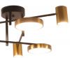 Потолочная светодиодная люстра Kink Light Рапис 07645-6D,19(20)