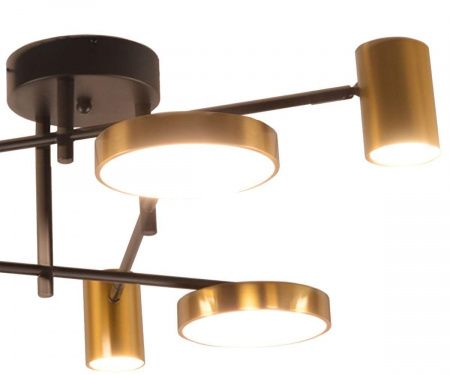 Потолочная светодиодная люстра Kink Light Рапис 07645-6D,19(20)