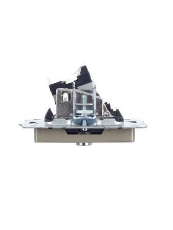 BRITE Розетка двойная TV+RJ45 кат.5E РТВ/РК12-БрШ шампань IEK